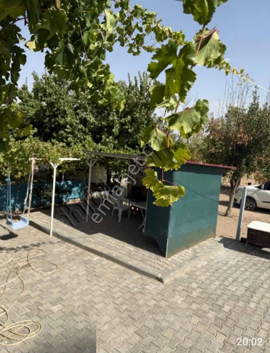 Şok Fiyat Garipce De.. 3 Adet Evi Bulunan Muhteşem Bağ Evi - Görsel 8