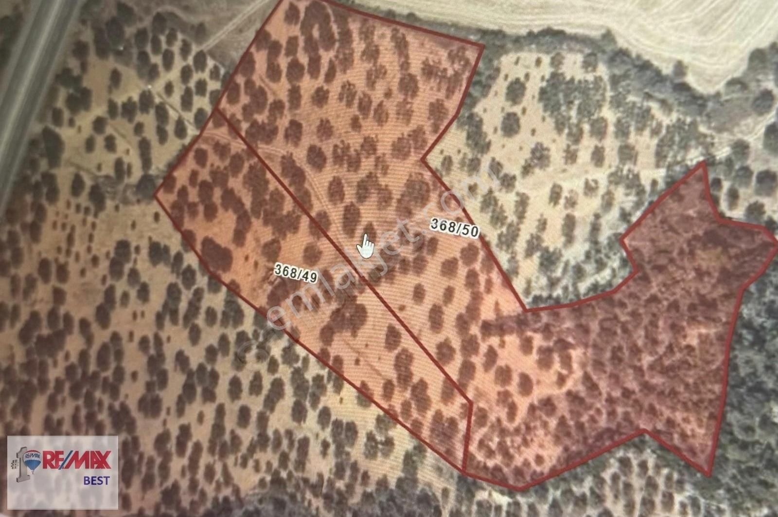 11 İzmir Bergama Zeytindağ'da Eşsiz Zeytinlik!