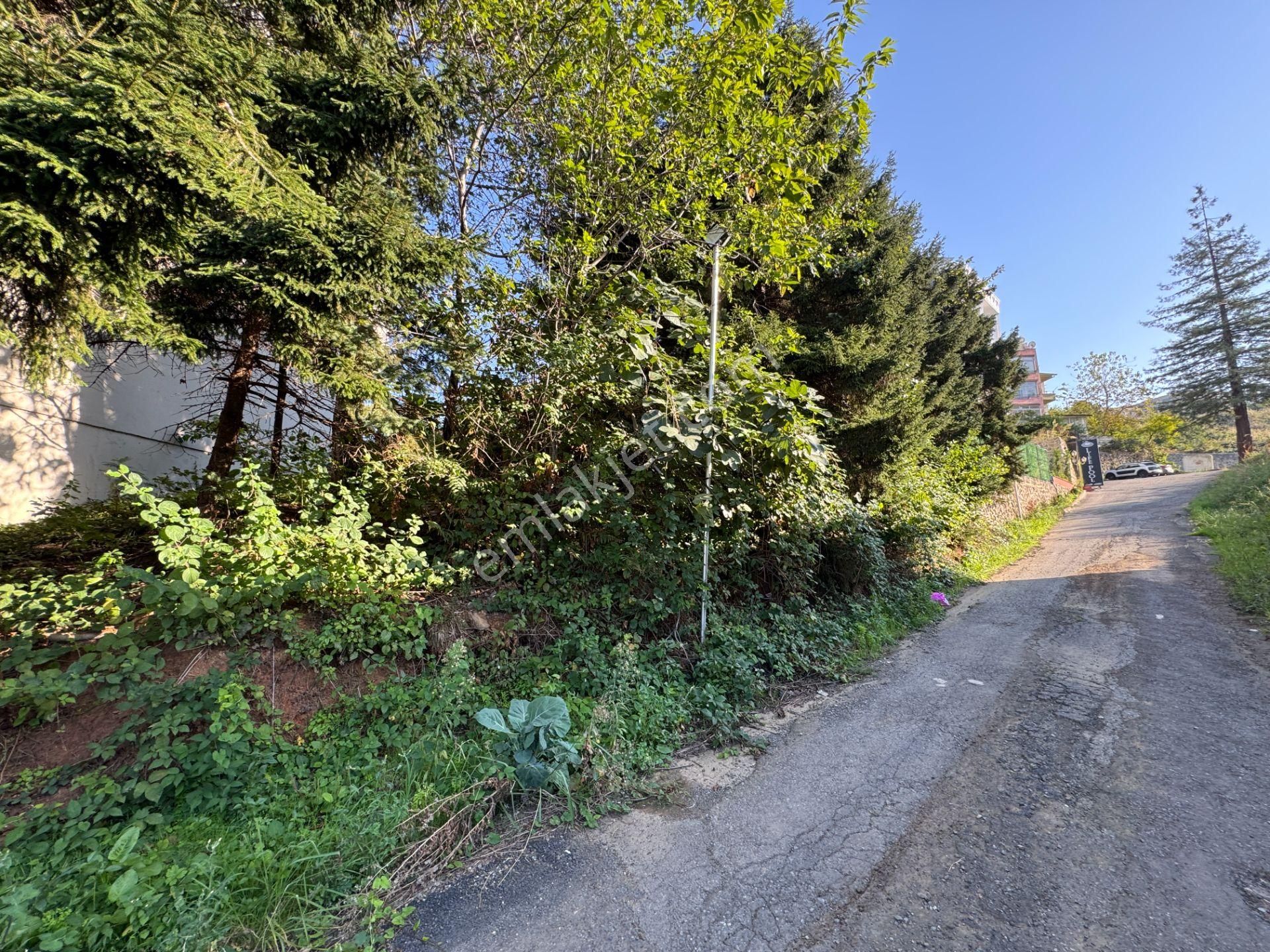 Trabzon Otahisar Kanuni Mahallesi 186 M2 Satılık Arsa - Görsel 7
