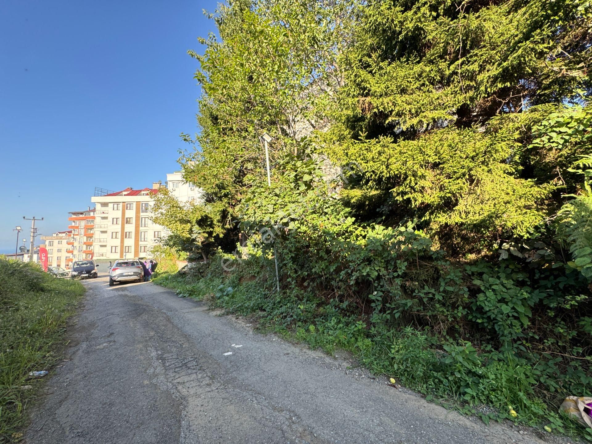 Trabzon Otahisar Kanuni Mahallesi 186 M2 Satılık Arsa - Görsel 11