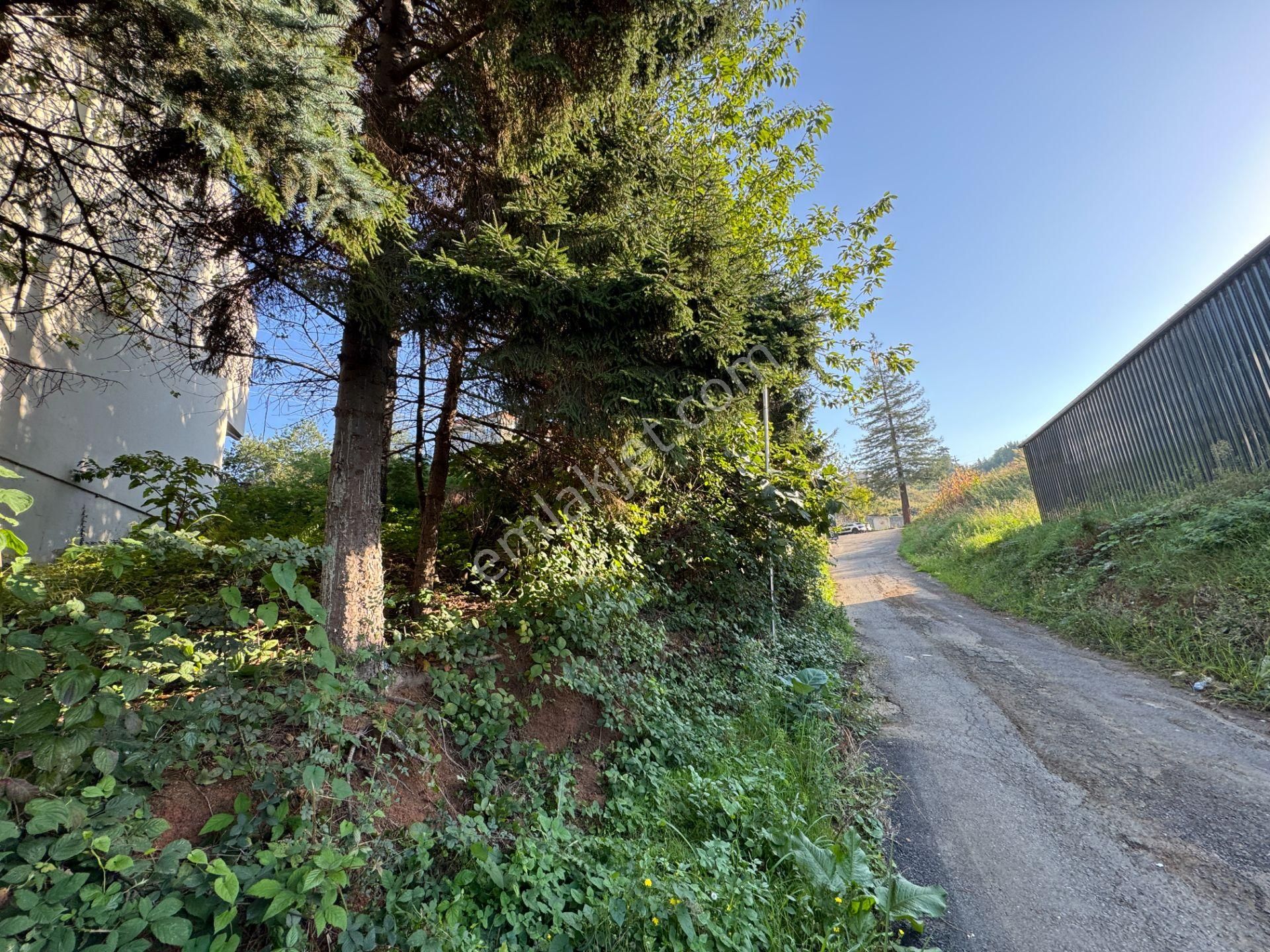 Trabzon Otahisar Kanuni Mahallesi 186 M2 Satılık Arsa - Görsel 10