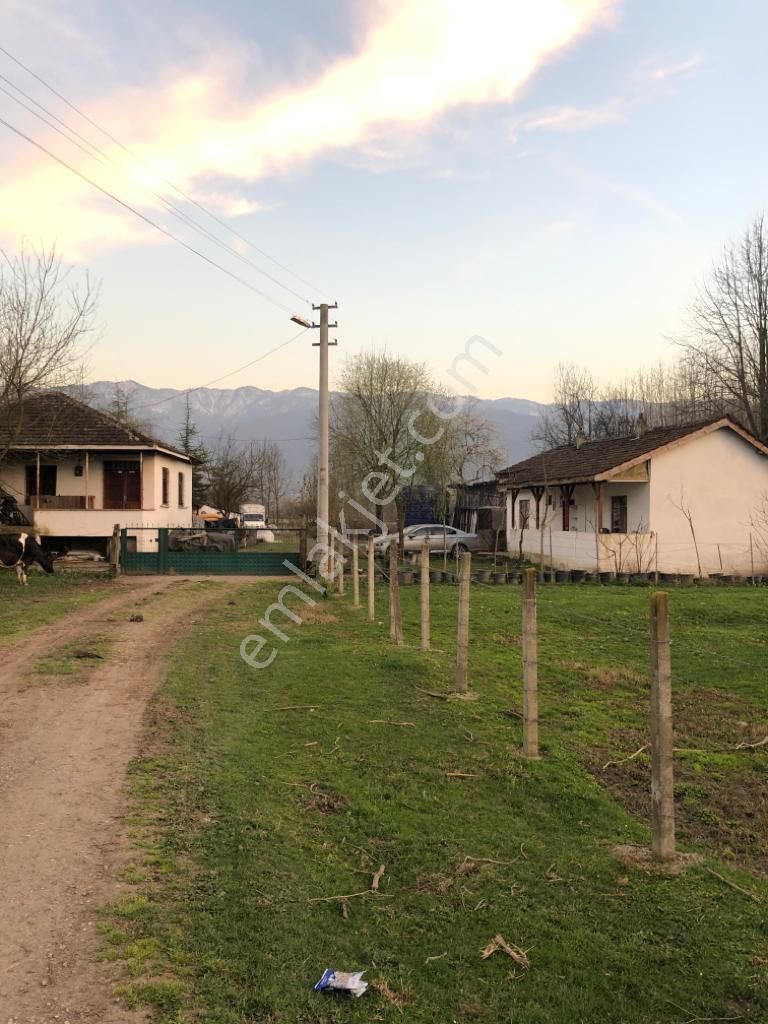 Akçadağ Gayrimenkul'den! 11 Dönüm Çiftlik - Görsel 15