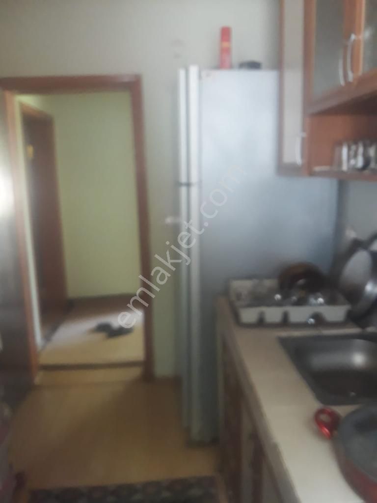 Akçadağ Gayrimenkul'den! 11 Dönüm Çiftlik - Görsel 24