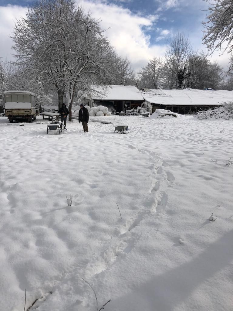 Akçadağ Gayrimenkul'den! 11 Dönüm Çiftlik - Görsel 16