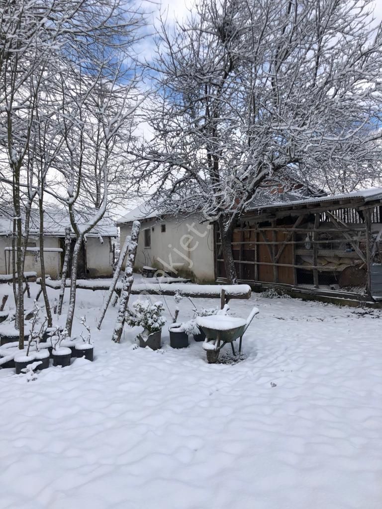 Akçadağ Gayrimenkul'den! 11 Dönüm Çiftlik - Görsel 7