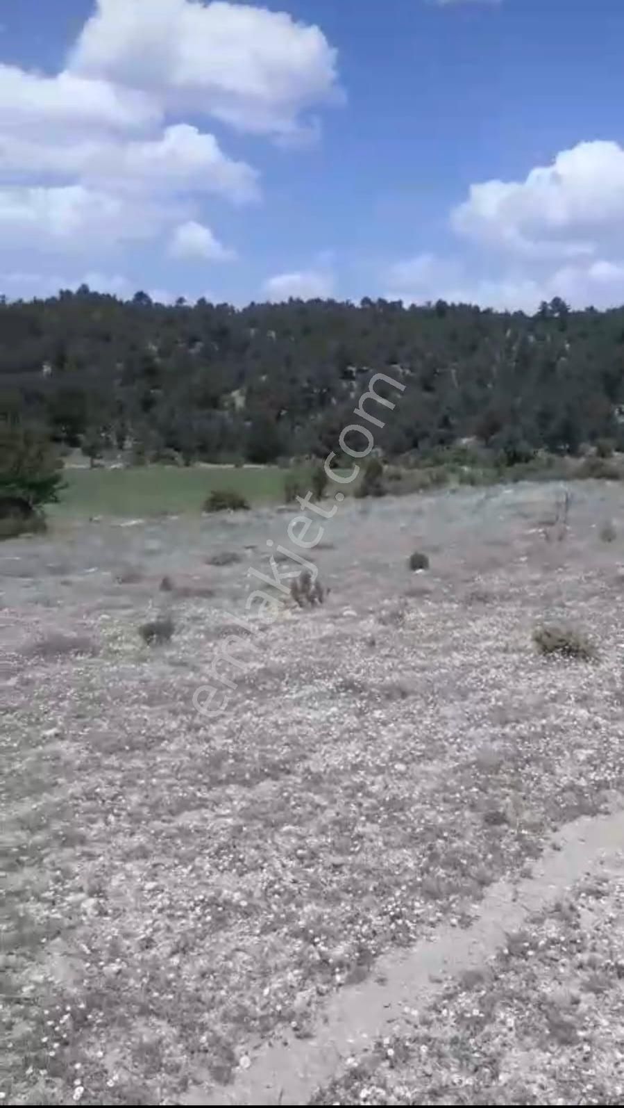 Çameli Ayvacık Ta 1770 M2 Tarla Satılık - Görsel 9