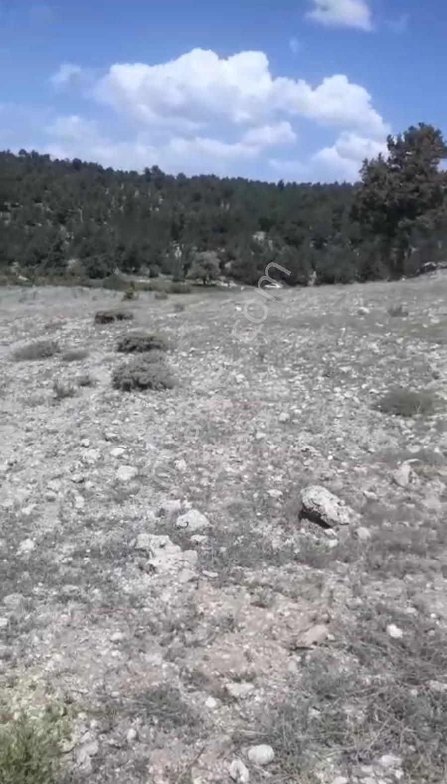Çameli Ayvacık Ta 1770 M2 Tarla Satılık - Görsel 4