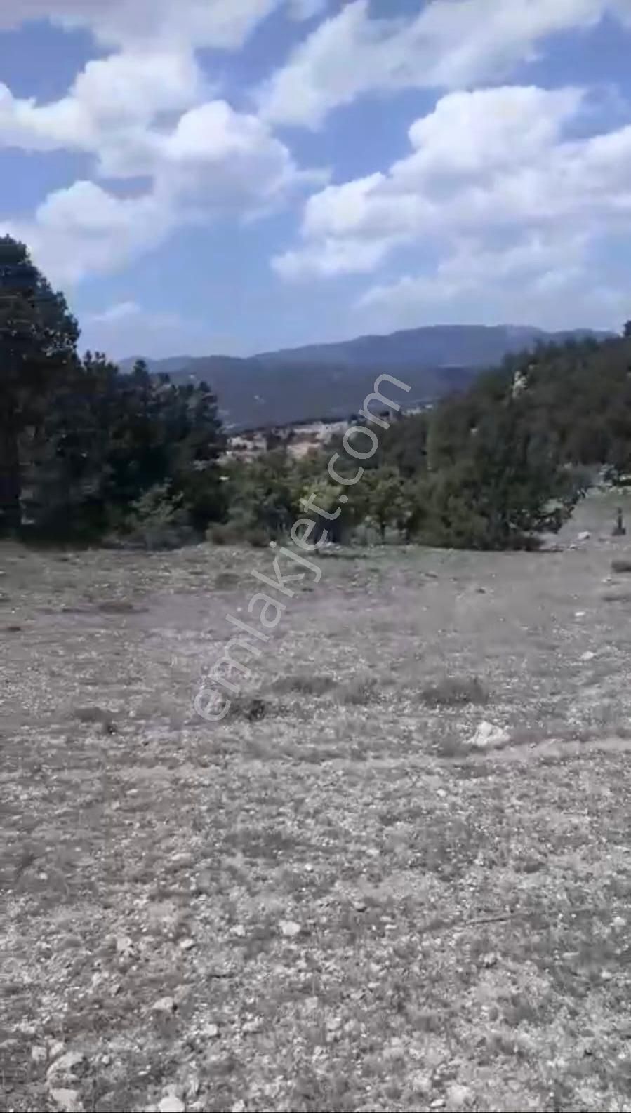 Çameli Ayvacık Ta 2030 M2 Tarla Satılık - Görsel 8