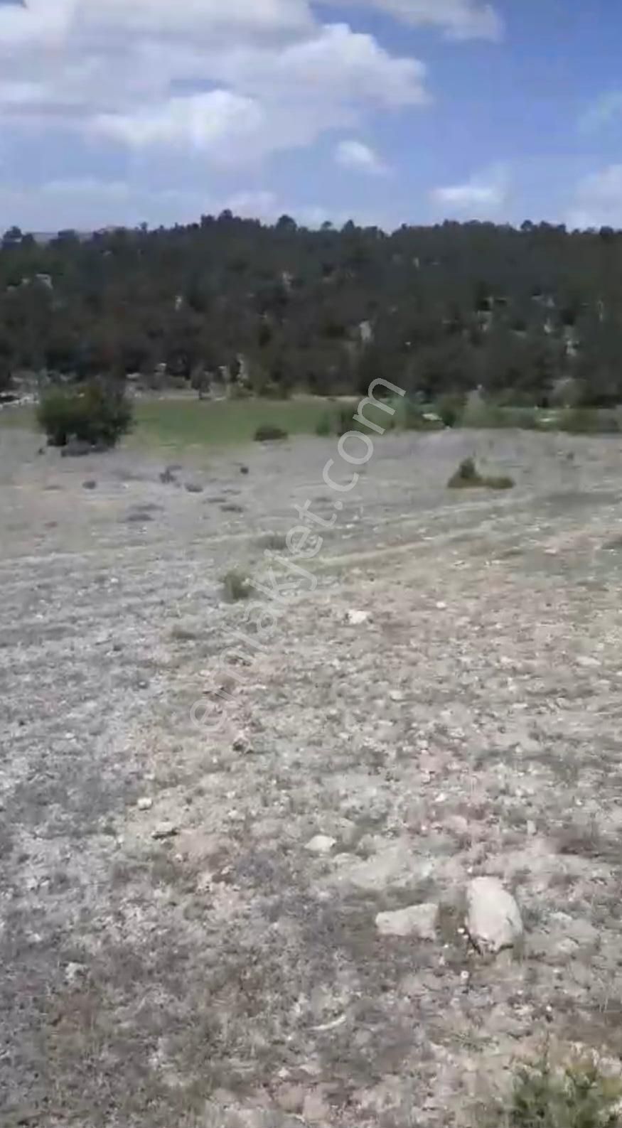 Çameli Ayvacık Ta 2030 M2 Tarla Satılık - Görsel 6