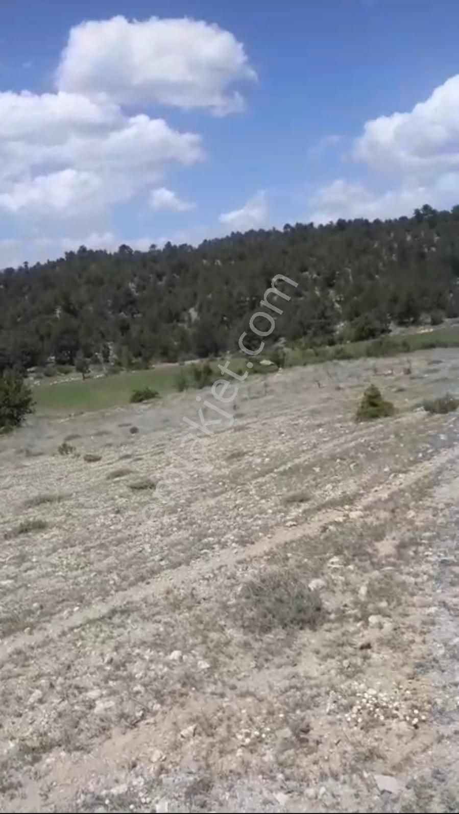 Çameli Ayvacık Ta 2030 M2 Tarla Satılık - Görsel 7