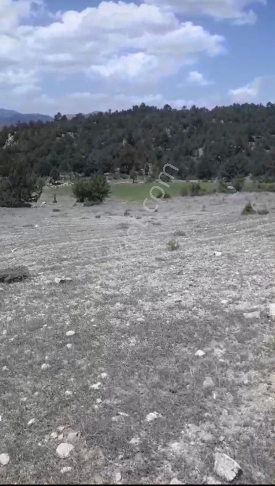 Çameli Ayvacık Ta 2030 M2 Tarla Satılık - Görsel 5