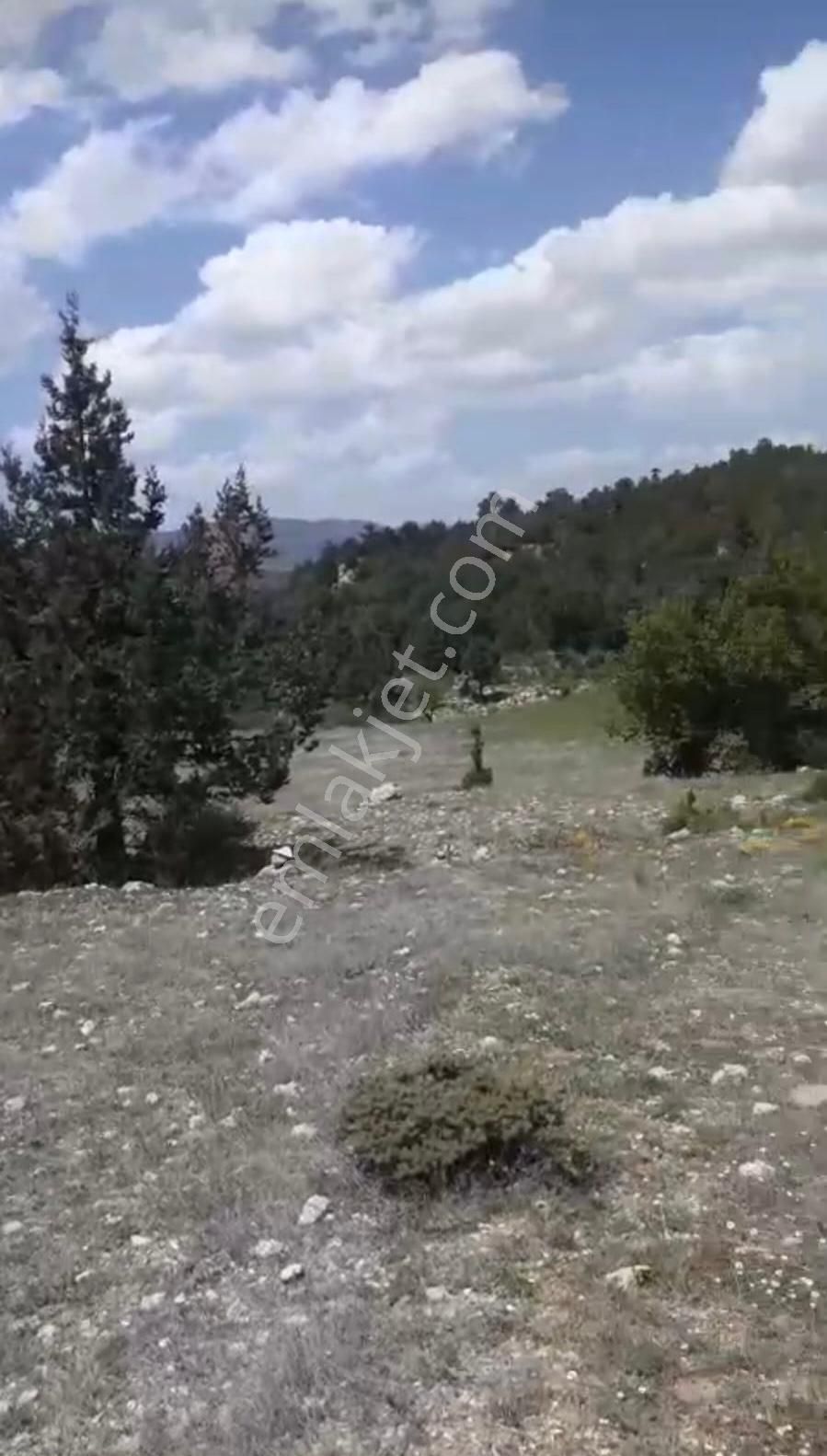 Çameli Ayvacık Ta 2030 M2 Tarla Satılık - Görsel 3