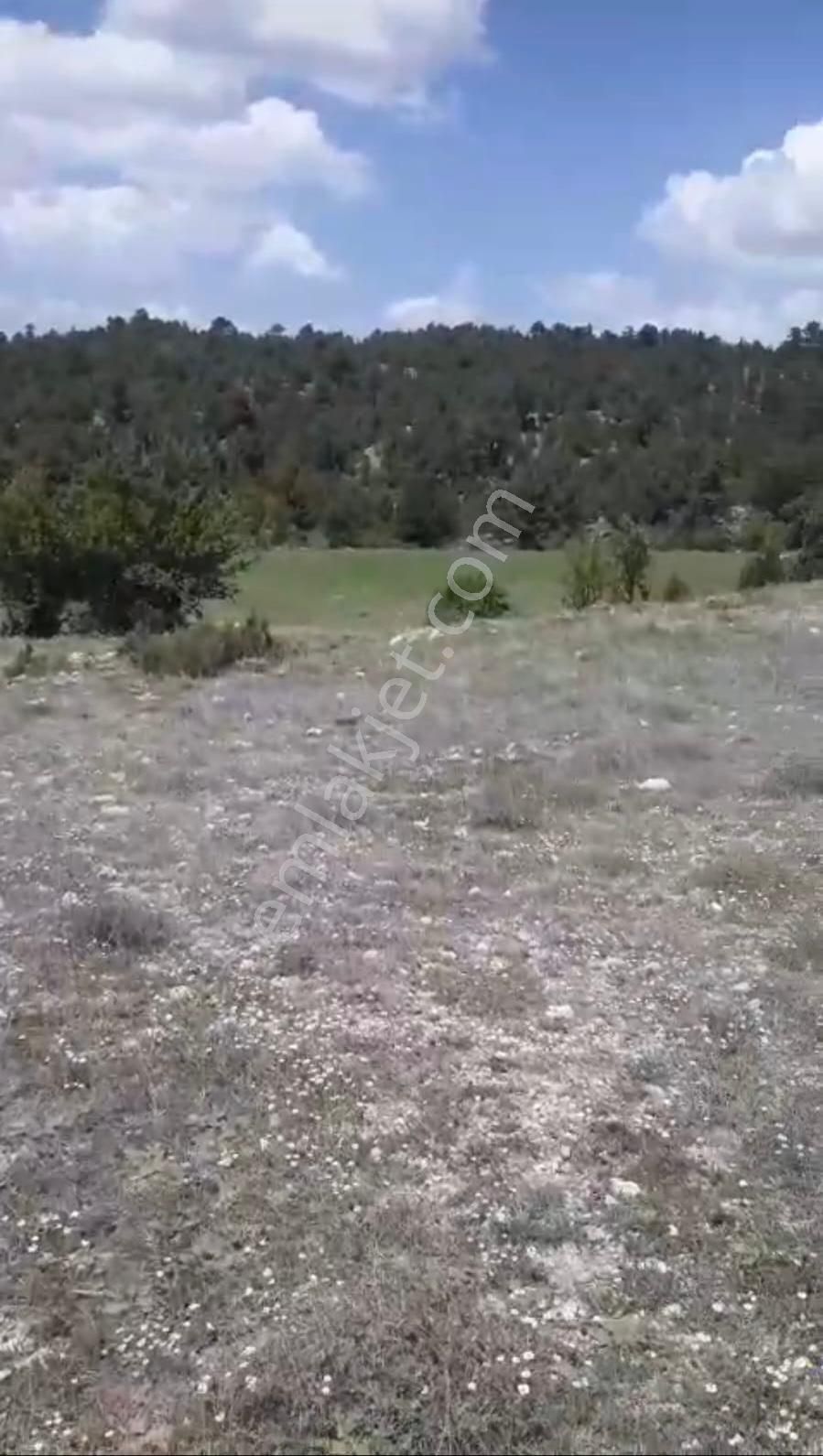 Çameli Ayvacık Ta 2030 M2 Tarla Satılık