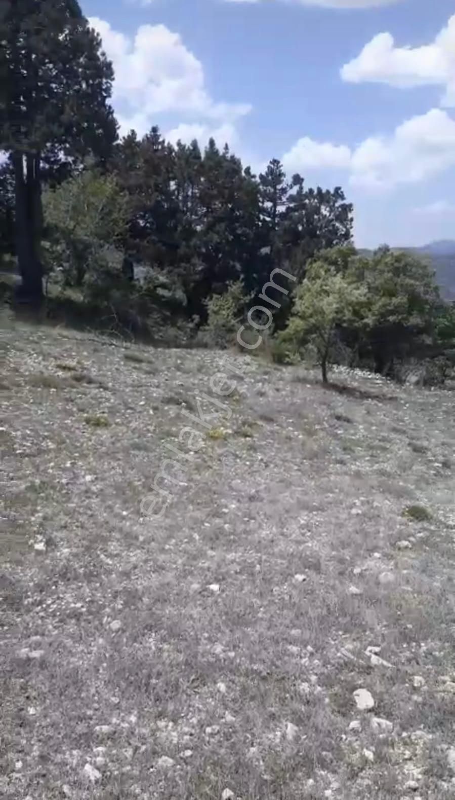 Çameli Ayvacık Ta 2030 M2 Tarla Satılık - Görsel 2