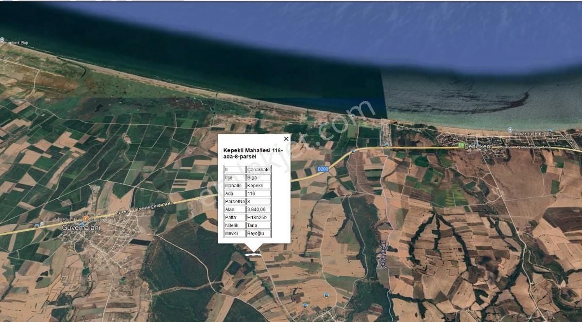 Çanakkale Biga Kepekli 3.840 M2 Satılık Verimli Zeytinlik - Görsel 6