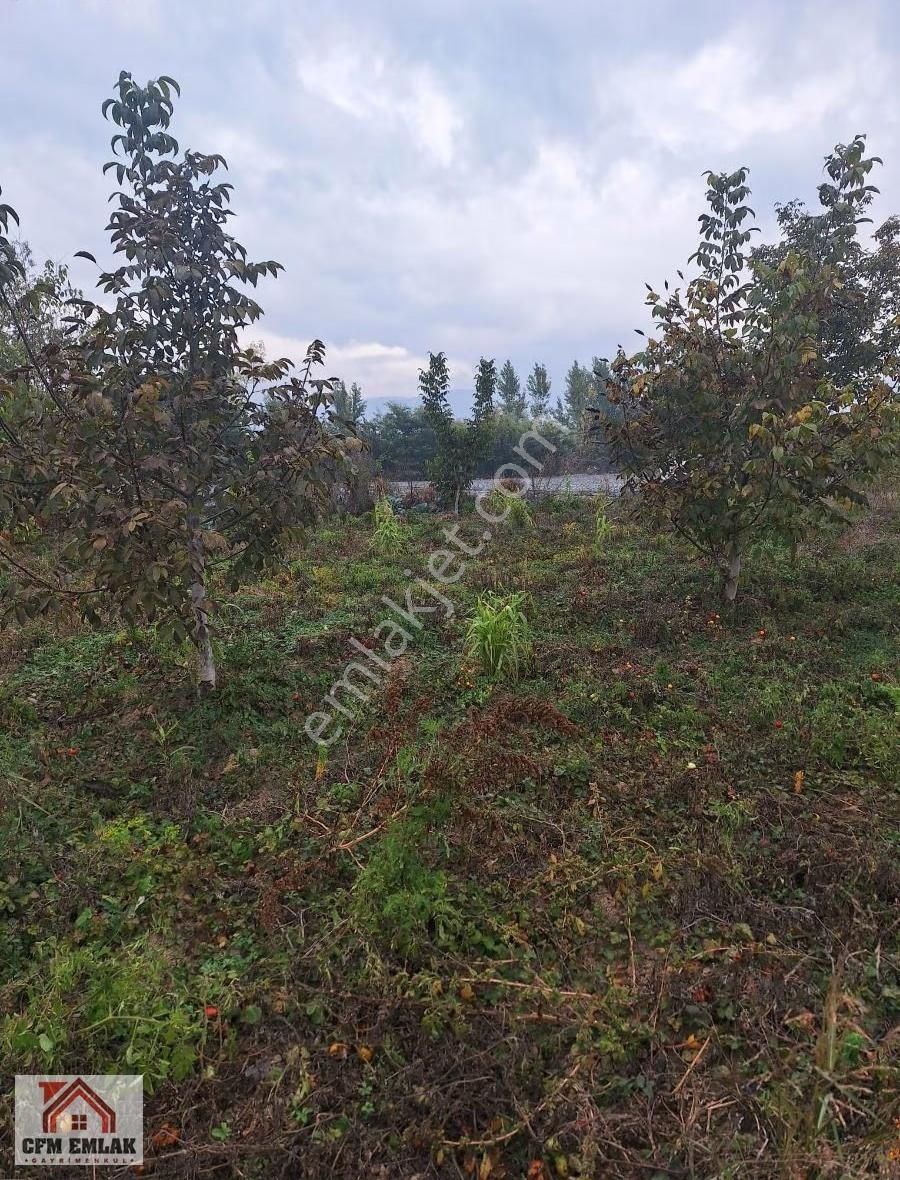 Kurşunlu Mahallesinde 2.122 M2 Satılık Tarla - Görsel 6