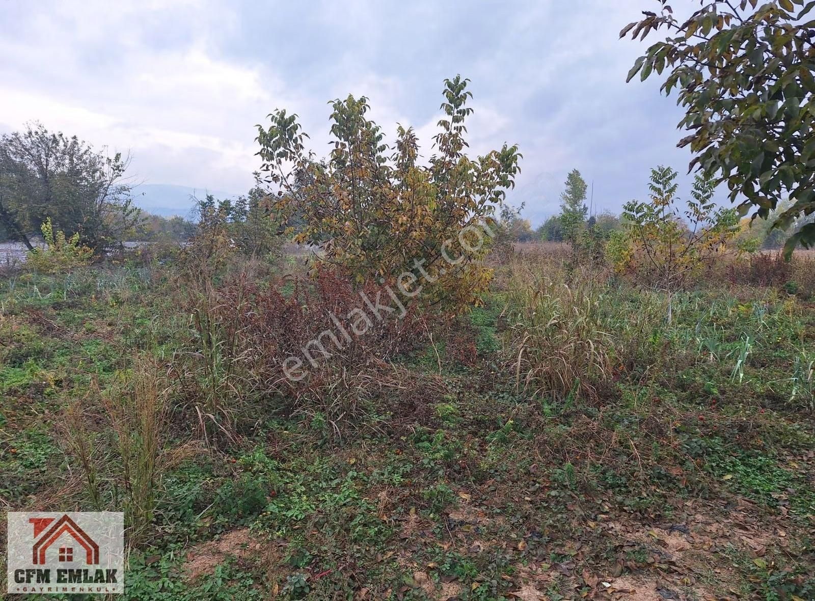 Kurşunlu Mahallesinde 2.122 M2 Satılık Tarla