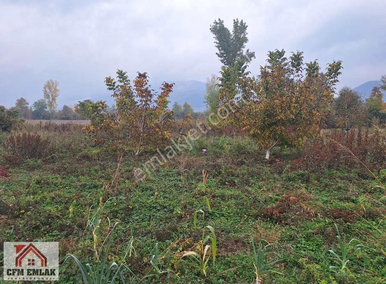 Kurşunlu Mahallesinde 2.122 M2 Satılık Tarla - Görsel 5