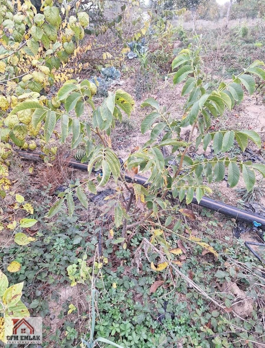 Kurşunlu Mahallesinde 2.122 M2 Satılık Tarla - Görsel 2