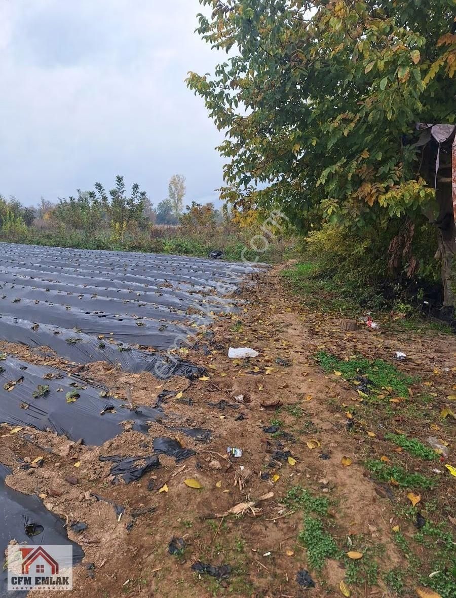 Kurşunlu Mahallesinde 2.122 M2 Satılık Tarla - Görsel 7