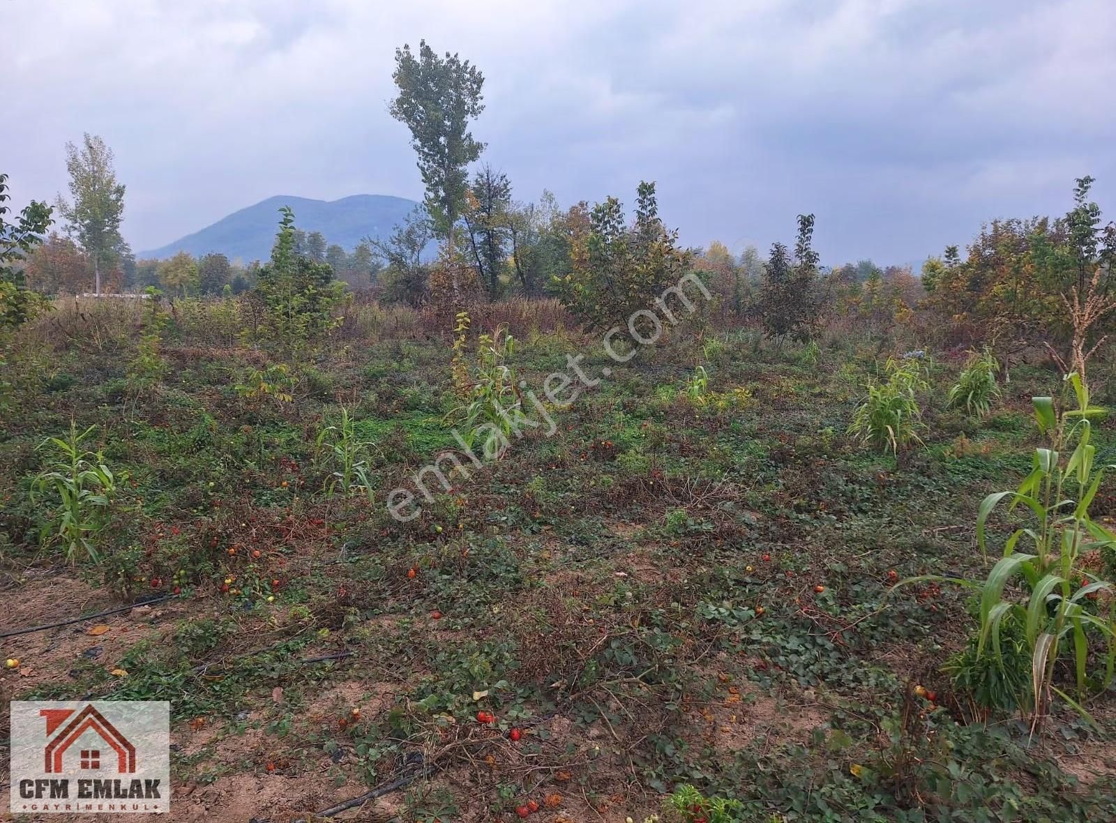 Kurşunlu Mahallesinde 2.122 M2 Satılık Tarla - Görsel 8