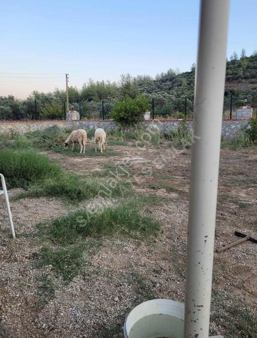 Muğla/milas/kafaca'da İmarlı Arsa - Görsel 7