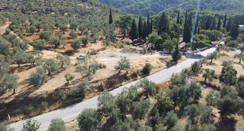 Burhaniye Yabancılar Köyünde Astfaltta 20 Metre Resmi Yolu - Görsel 5