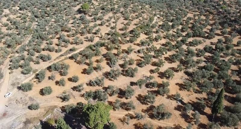 Burhaniye Yabancılar Köyünde Astfaltta 20 Metre Resmi Yolu - Görsel 6