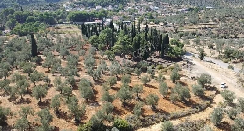 Burhaniye Yabancılar Köyünde Astfaltta 20 Metre Resmi Yolu - Görsel 7
