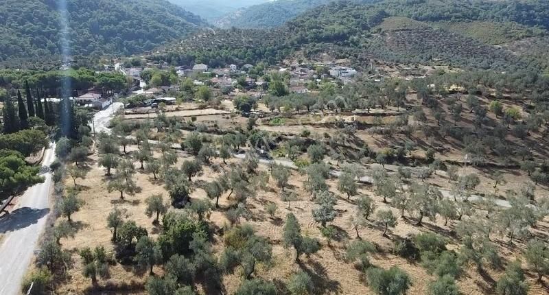 Burhaniye Yabancılar Köyünde Astfaltta 20 Metre Resmi Yolu