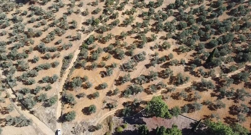 Burhaniye Yabancılar Köyünde Astfaltta 20 Metre Resmi Yolu - Görsel 9