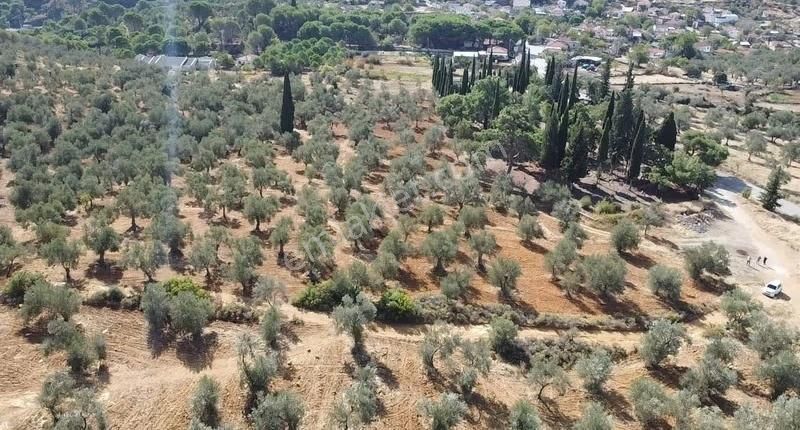 Burhaniye Yabancılar Köyünde Astfaltta 20 Metre Resmi Yolu - Görsel 10