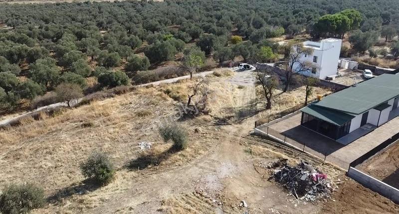 İmarlı Arsa Burhaniye Şarköy De 100 De 40 İmarlı Olan Arsa - Görsel 4