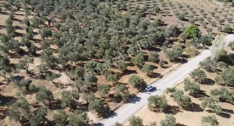 Burhaniye Yabancılar Köyünde Astfaltta Sıfır Olan Resmi Yolu - Görsel 2