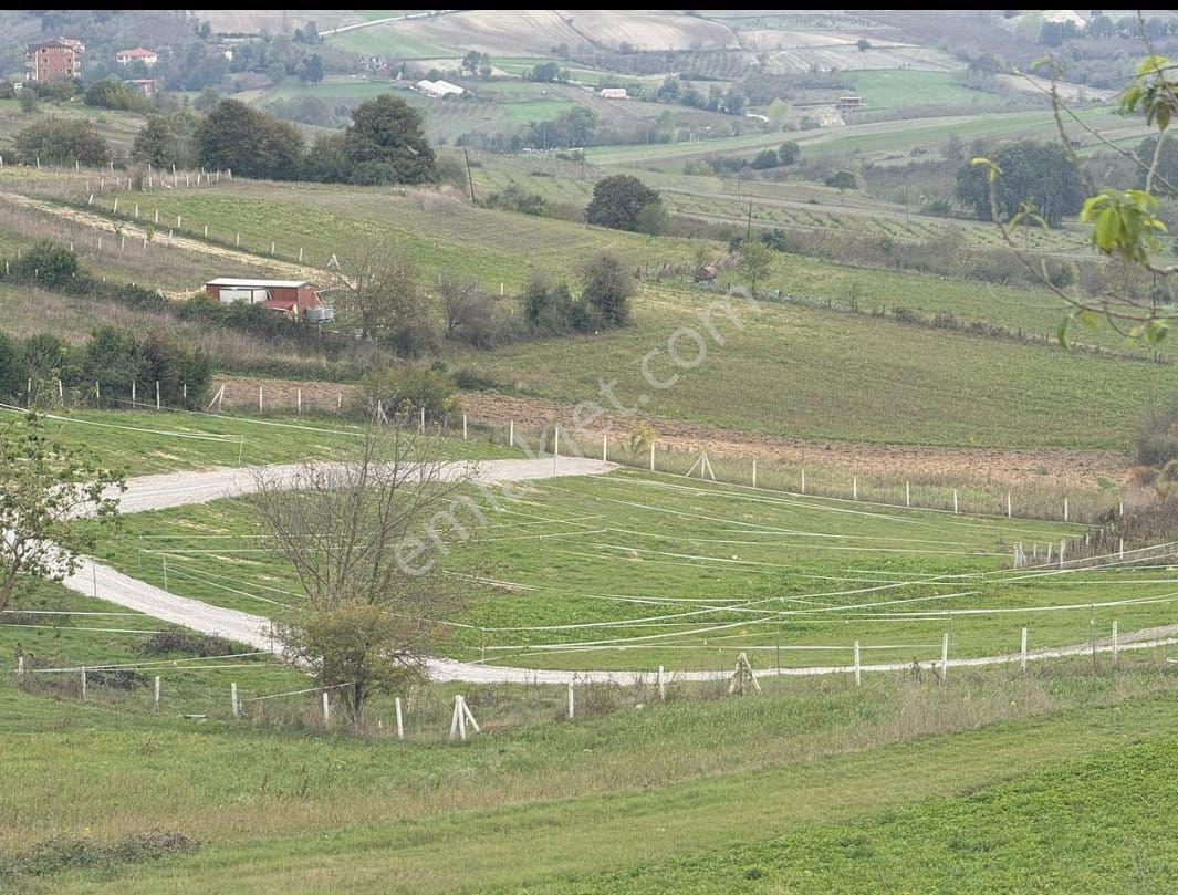Sakarya Kaynarca Kertilde Satılık Hisseli Arsa - Görsel 2