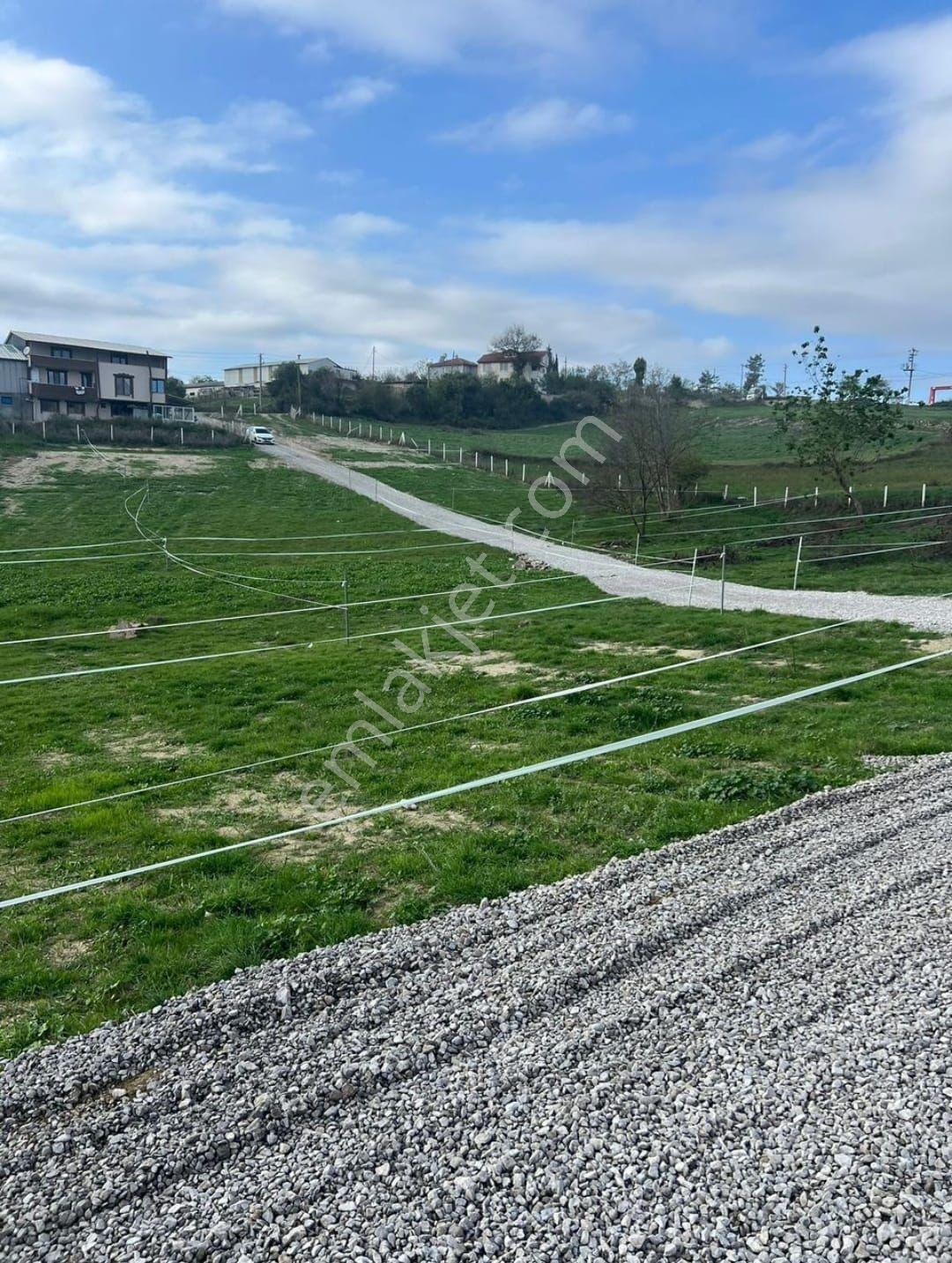 Sakarya Kaynarca Kertilde Satılık Hisseli Arsa - Görsel 6