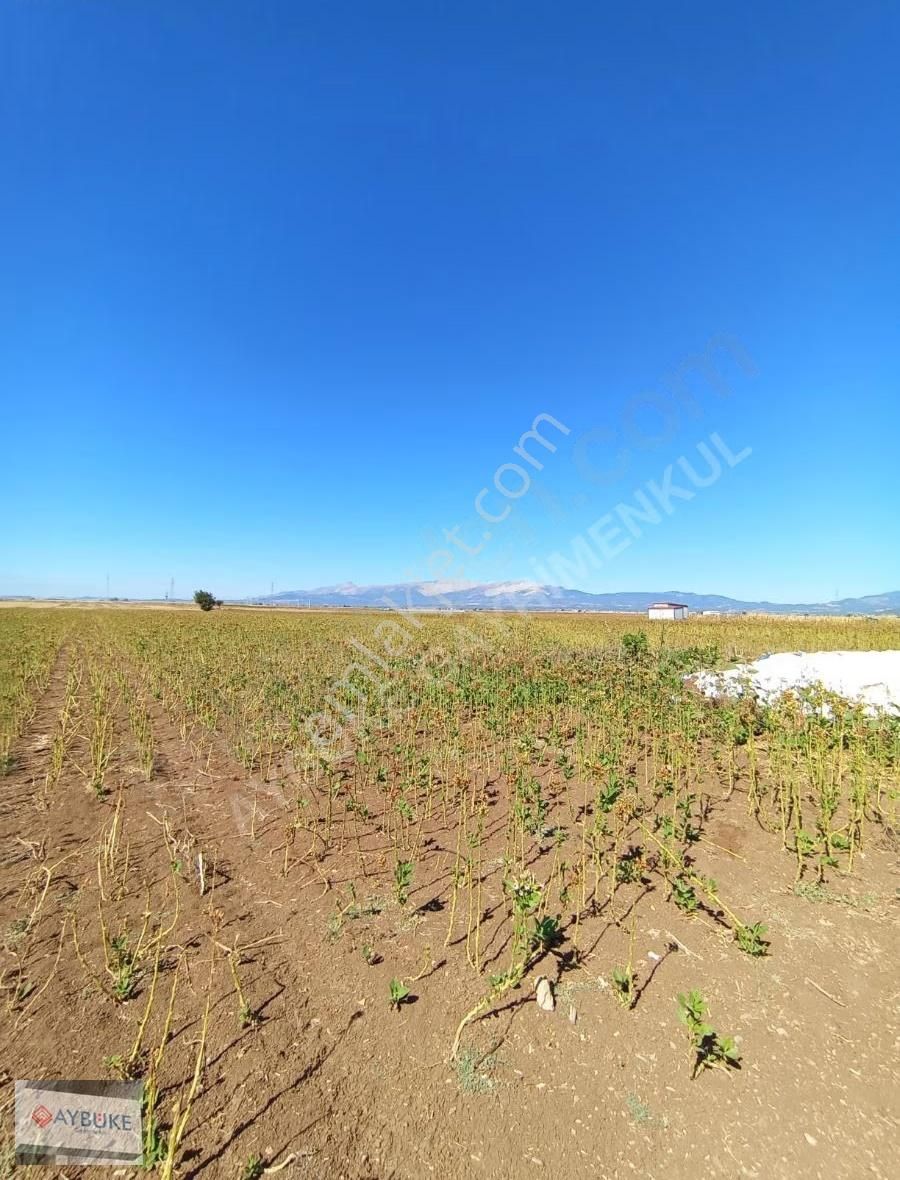 Tavas Pınarlar Da Değerli Fırsat Arazi Satışta