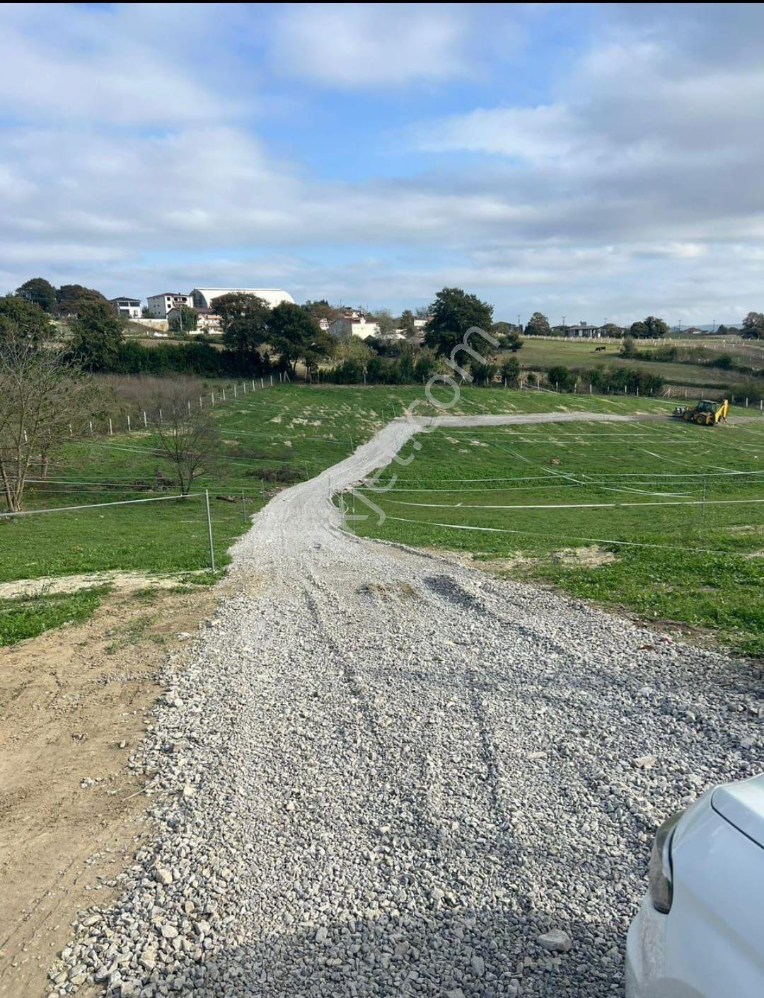 Sakarya Kaynarca Kertilde Satılık Hisseli Arsa - Görsel 4