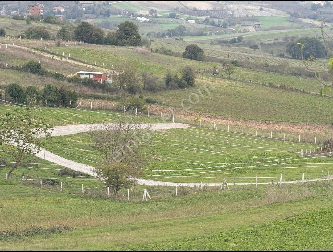 Sakarya Kaynarca Kertilde Satılık Hisseli Arsa - Görsel 3