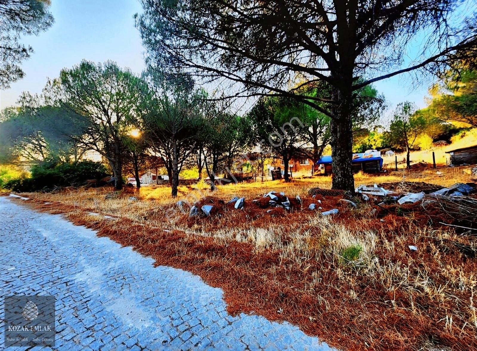 İzmir Bergama Kozak Okçular Eski Yapı Dam Bağ Satılık - Görsel 3