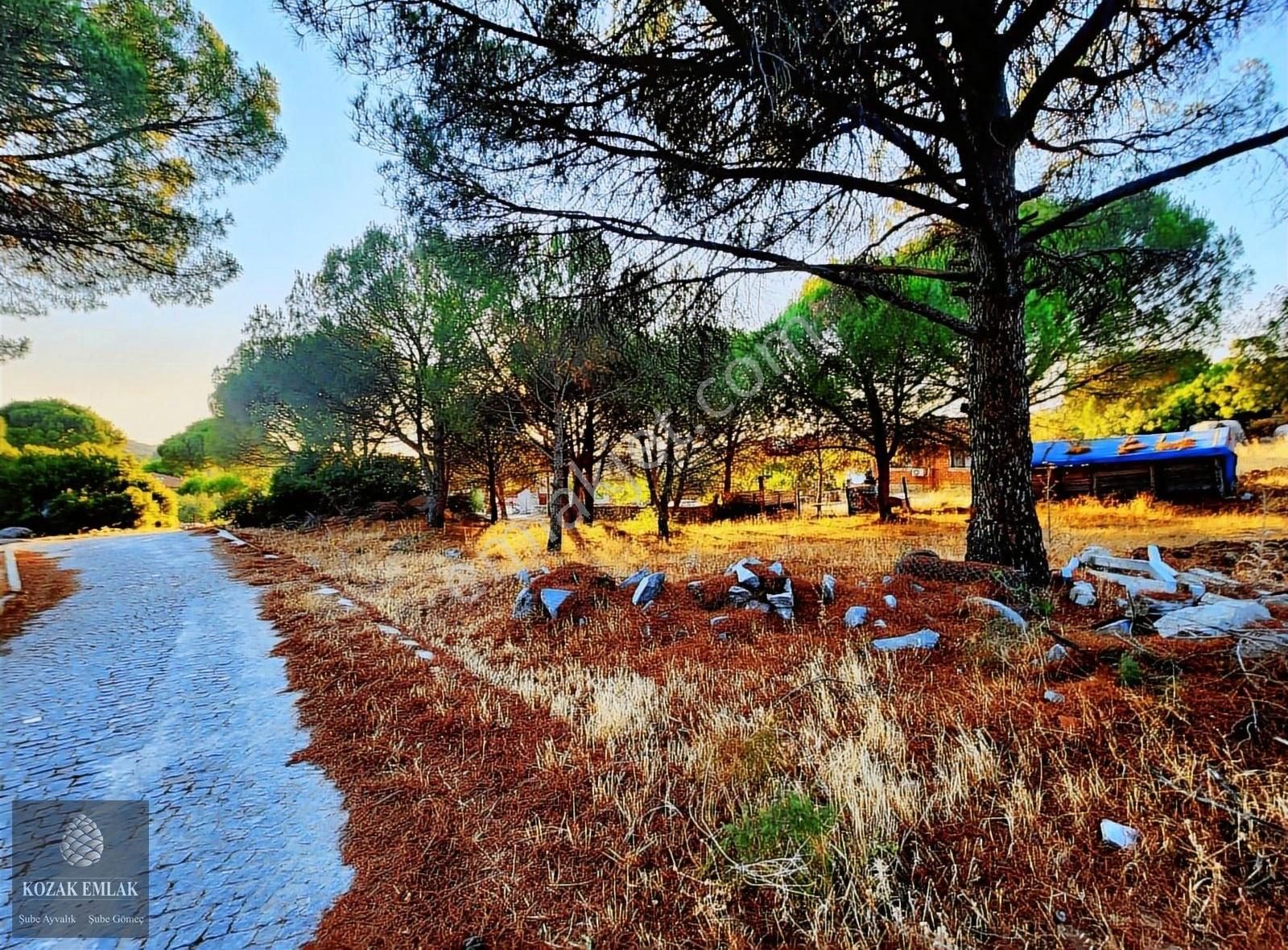 İzmir Bergama Kozak Okçular Eski Yapı Dam Bağ Satılık - Görsel 5