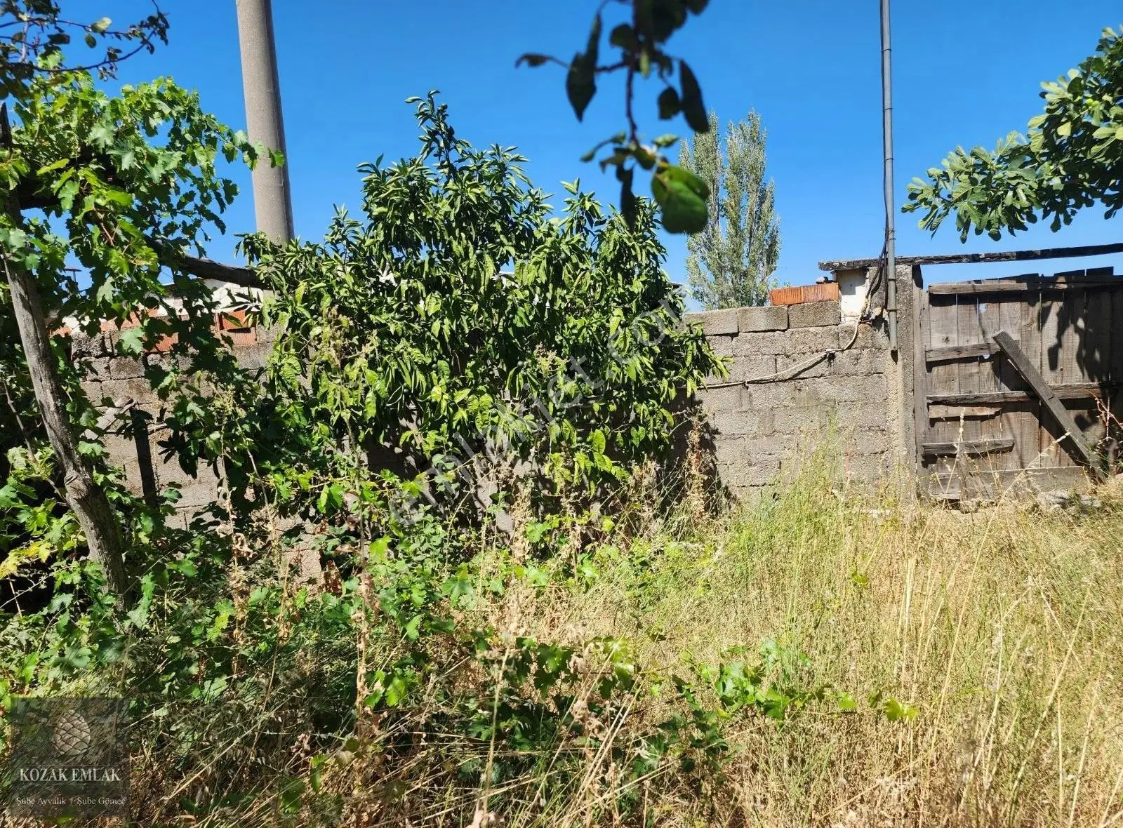 İzmir Bergama Kozak Aşağıbey Köyünde Satılık Köy Evi Ve Arsa - Görsel 4