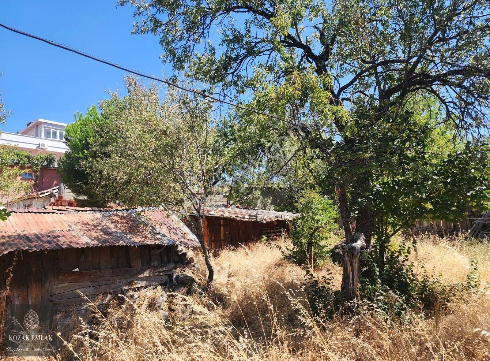 İzmir Bergama Kozak Aşağıbey Köyünde Satılık Köy Evi Ve Arsa - Görsel 3