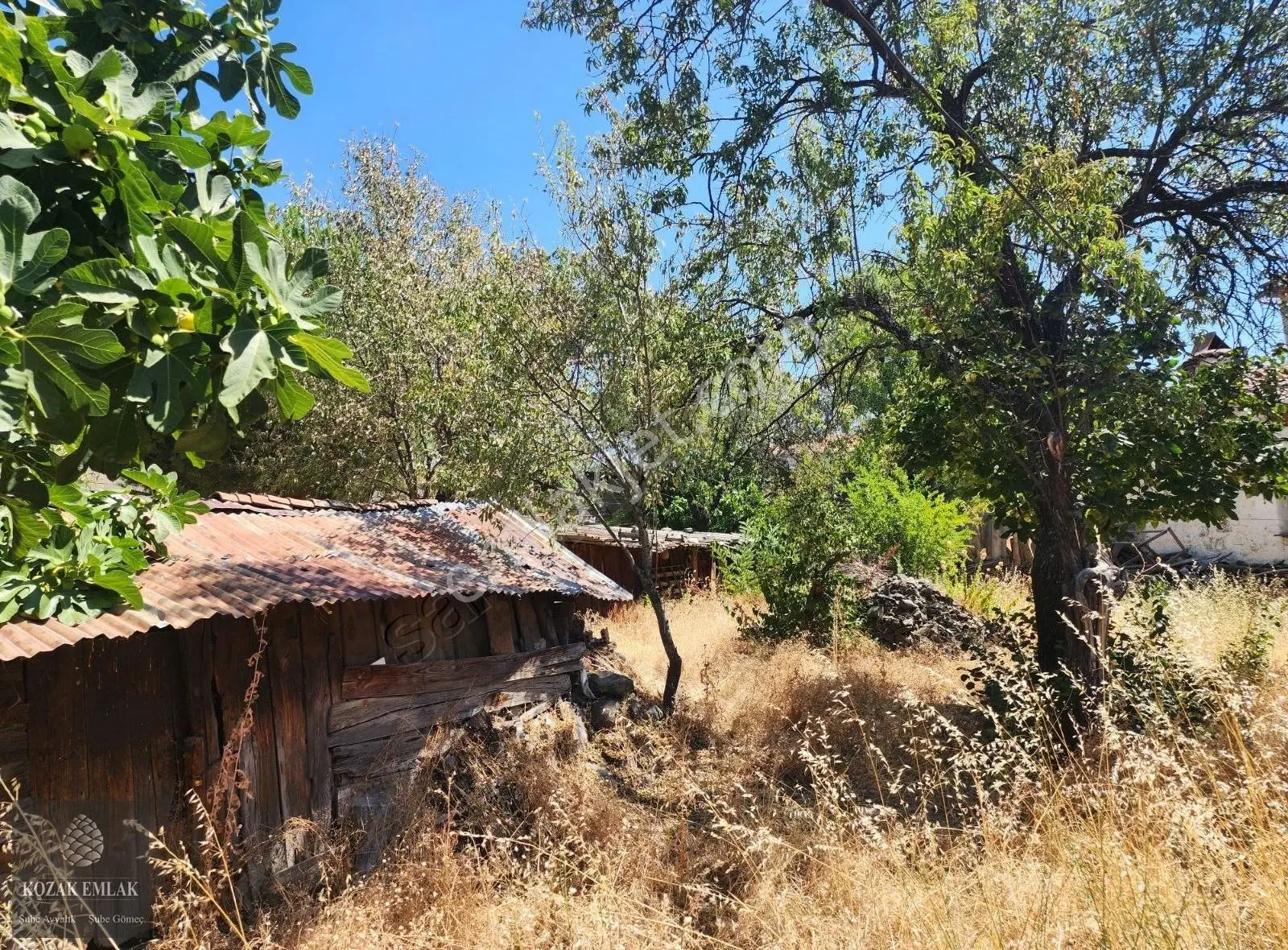 İzmir Bergama Kozak Aşağıbey Köyünde Satılık Köy Evi Ve Arsa - Görsel 8