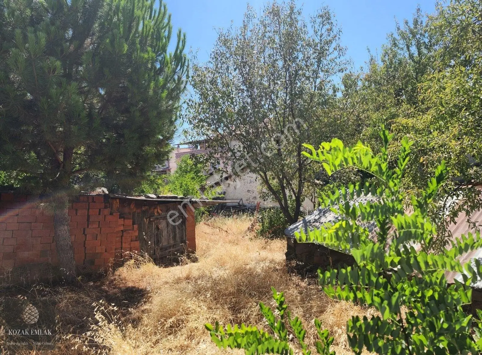 İzmir Bergama Kozak Aşağıbey Köyünde Satılık Köy Evi Ve Arsa