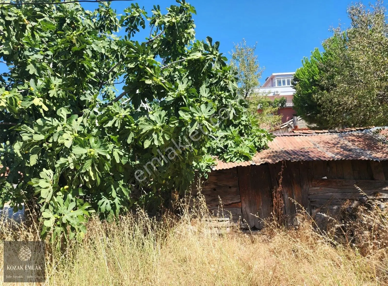 İzmir Bergama Kozak Aşağıbey Köyünde Satılık Köy Evi Ve Arsa - Görsel 2