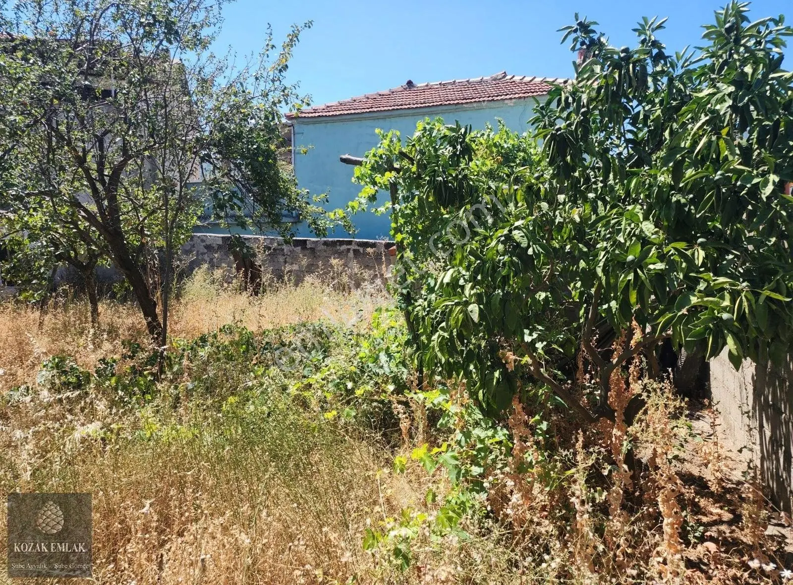 İzmir Bergama Kozak Aşağıbey Köyünde Satılık Köy Evi Ve Arsa - Görsel 13