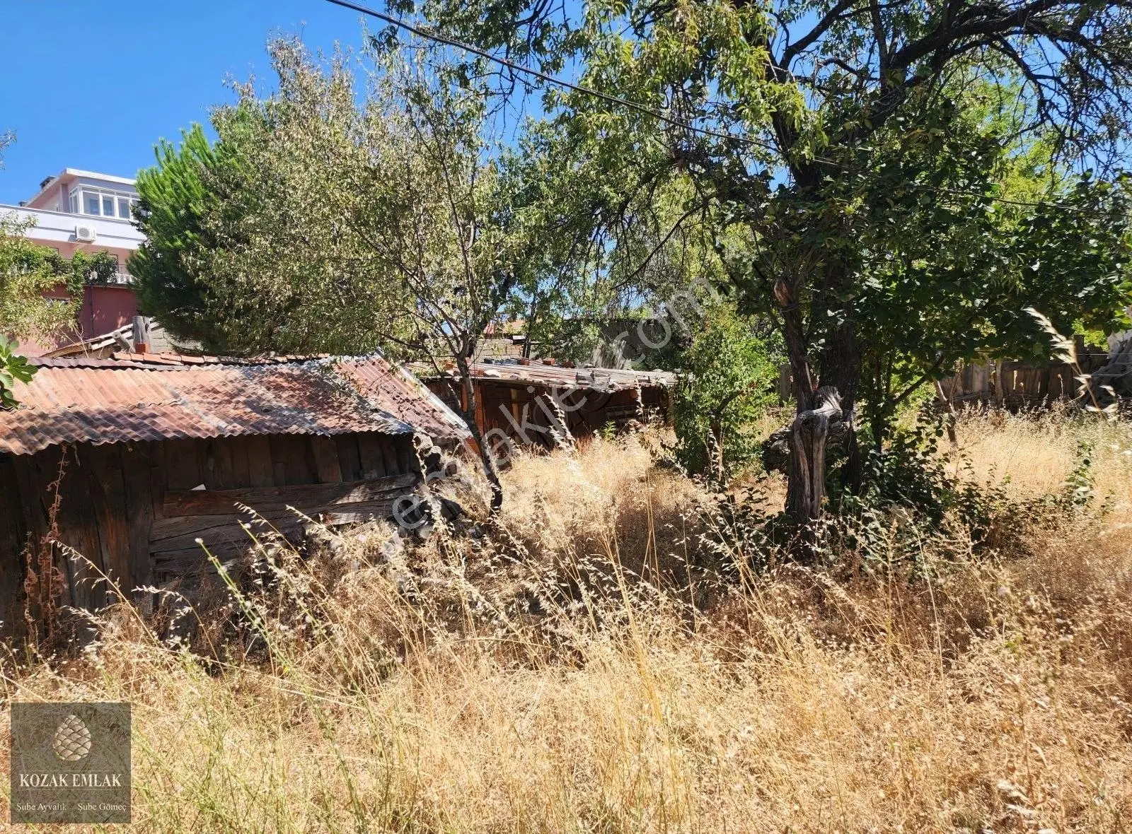İzmir Bergama Kozak Aşağıbey Köyünde Satılık Köy Evi Ve Arsa - Görsel 14