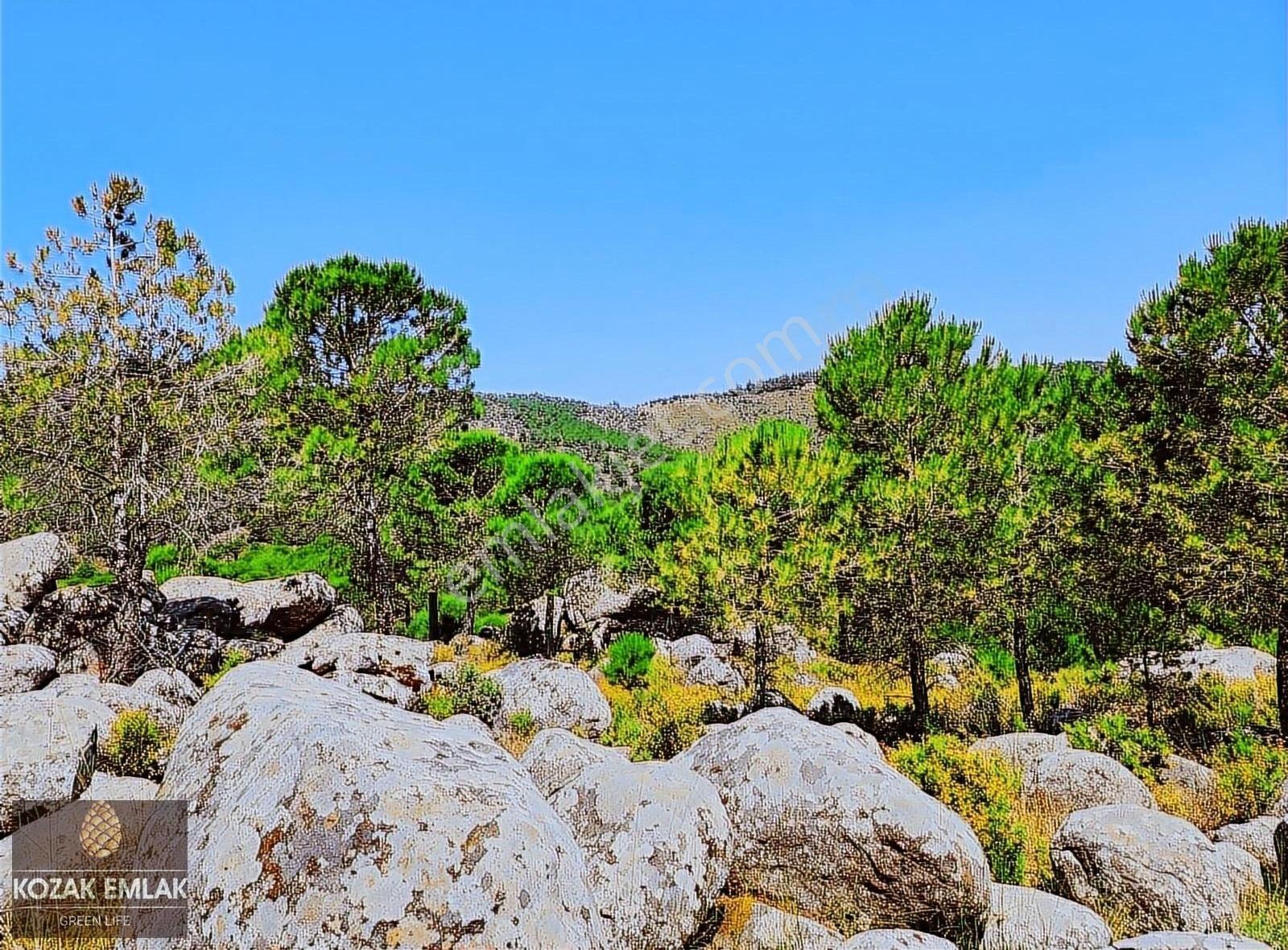 Kozak Emlak Bergama Okçular Fıstık Çamlığı Tarım İmarlı Satılık - Görsel 18