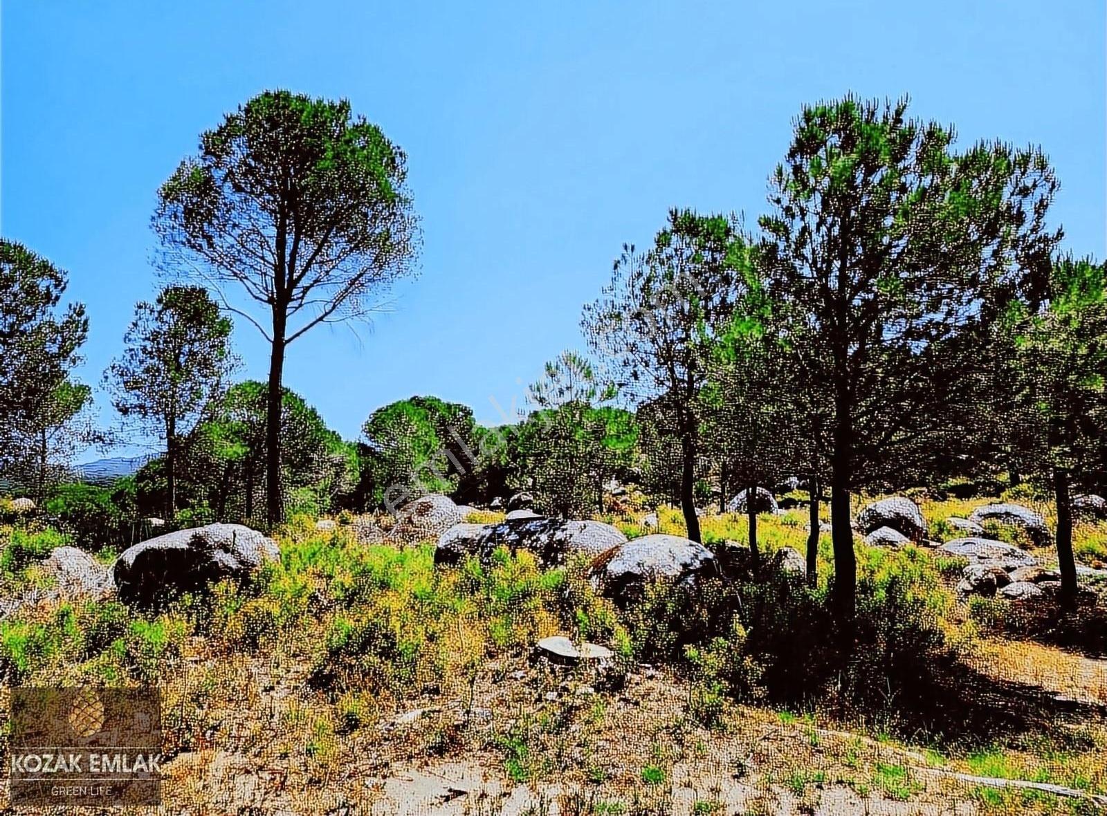 Kozak Emlak Bergama Okçular Fıstık Çamlığı Tarım İmarlı Satılık - Görsel 10